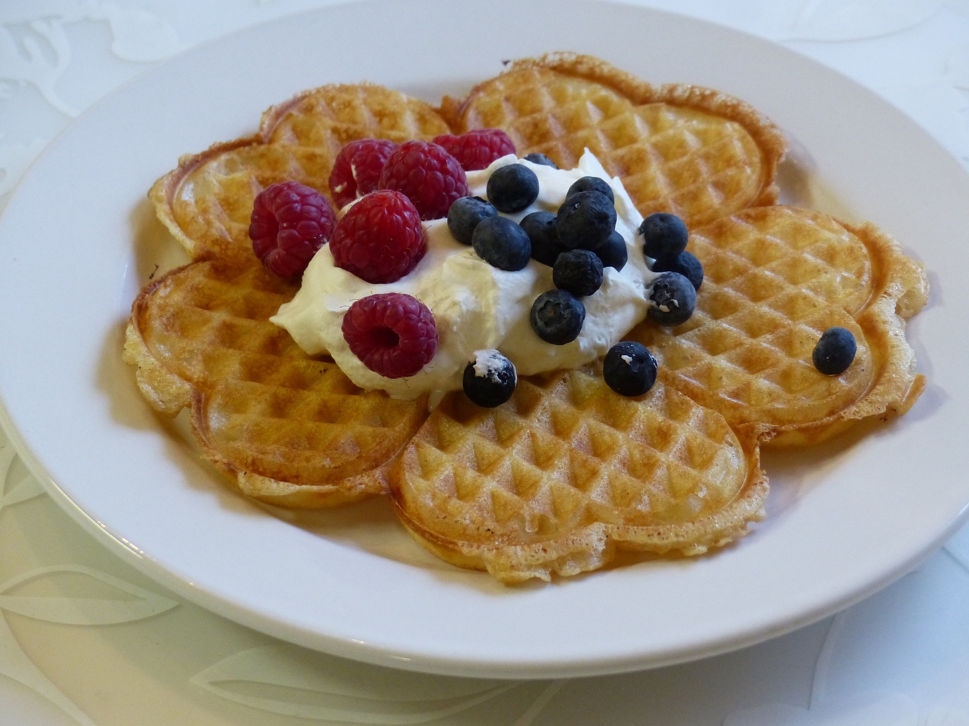 vaffeljern wilfa best i test